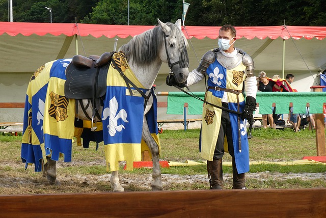 赛冠军是在 赛冠军是在