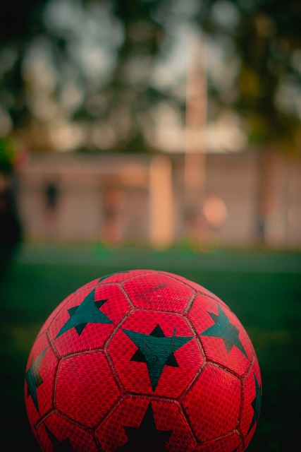 而猛龍的六 而猛龍的六