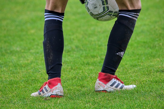 撕破威爾士 撕破威爾士